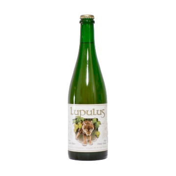 LUPULUS ABBAZIA 0.75 BT # LUPULUS ABBAZIA 0.75 BT #