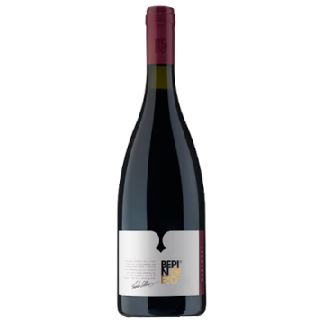 CABERNET IGT BEPIN DE ETO X1*