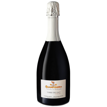 PROSECCO EXTRA DRY SCANDOLERA X1* PROSECCO EXTRA DRY SCANDOLERA X1*
