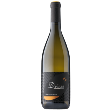SAUVIGNON COLLIO DRIUS X1* SAUVIGNON COLLIO DRIUS X1*