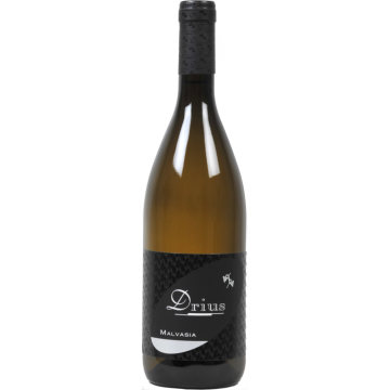 MALVASIA ISTRIANA ISONZO DRIUS X1*