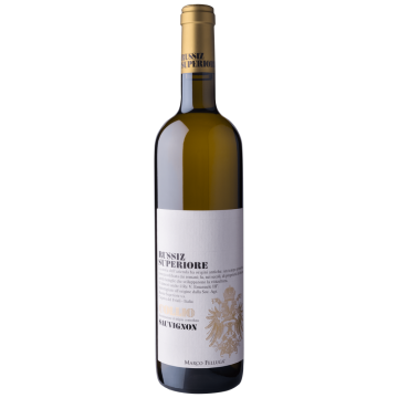 SAUVIGNON RUSSIZ X1*