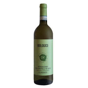 VERDICCHIO DI JESI DOP BIO CANTINA OFFID