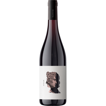SYRAH OTRE TEANUM X1*