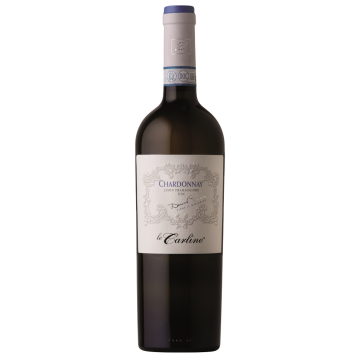 CHARDONNAY DOC BIO LE CARLINE X1*