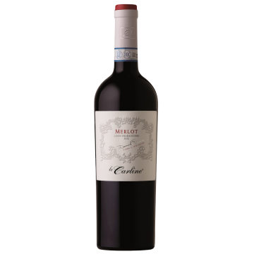 MERLOT DOC BIO LE CARLINE X1*