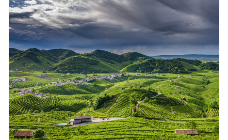 Le zone del Prosecco: vitigni, territori e denominazioni