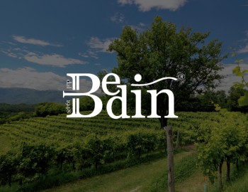 Wine Emotion: regalati una visita alla Cantina Bedin!